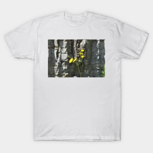 flower and stone T-Shirt